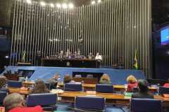 20220425_audiencia_senado16