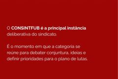2_consintfub