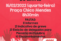 assembleiageralfev2022redes